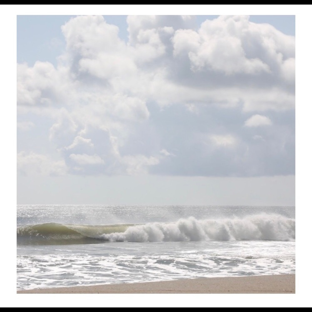 Meet your Posher, Molly